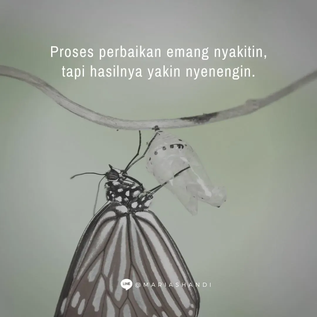 Metamorfosis Karakter