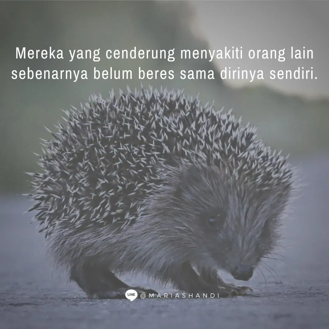 Duri Landak