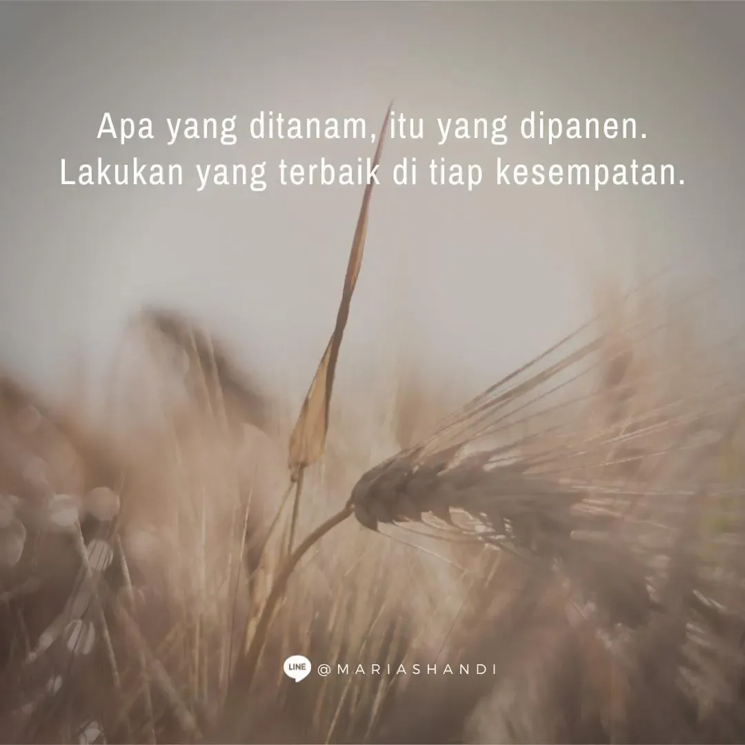 Tabur Tuai