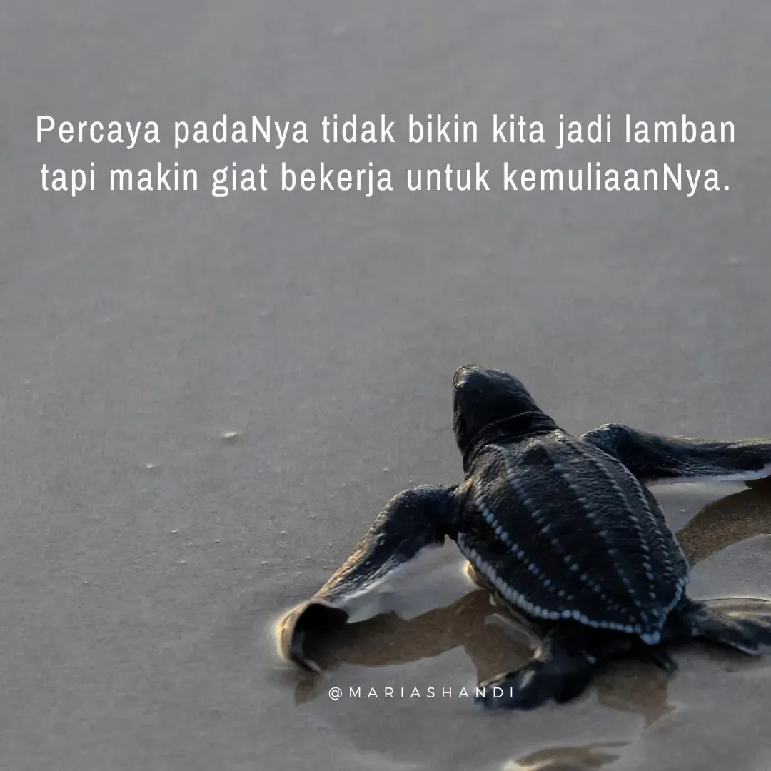 Konsisten dengan Perbuatan Baik